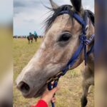 Meiramgul Qonaqbaeva